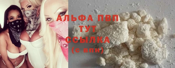 стаф Алексин