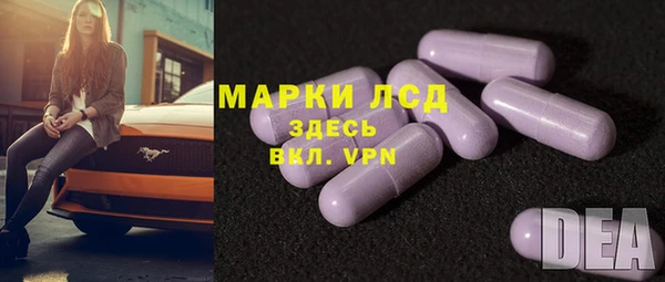 стаф Алексин