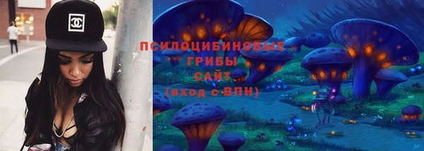 соль ск Алексеевка